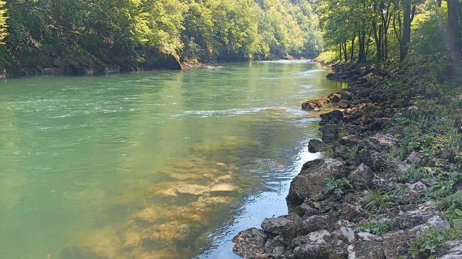 Clear shallow water over pale stones on the Vrbas river, forested canyon behind