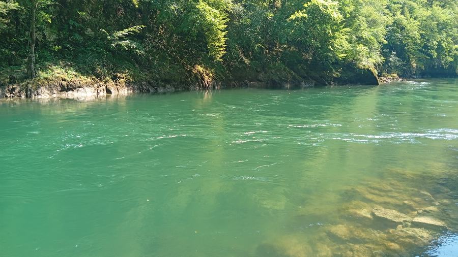 Calm green bend of the Vrbas river below overhanging trees